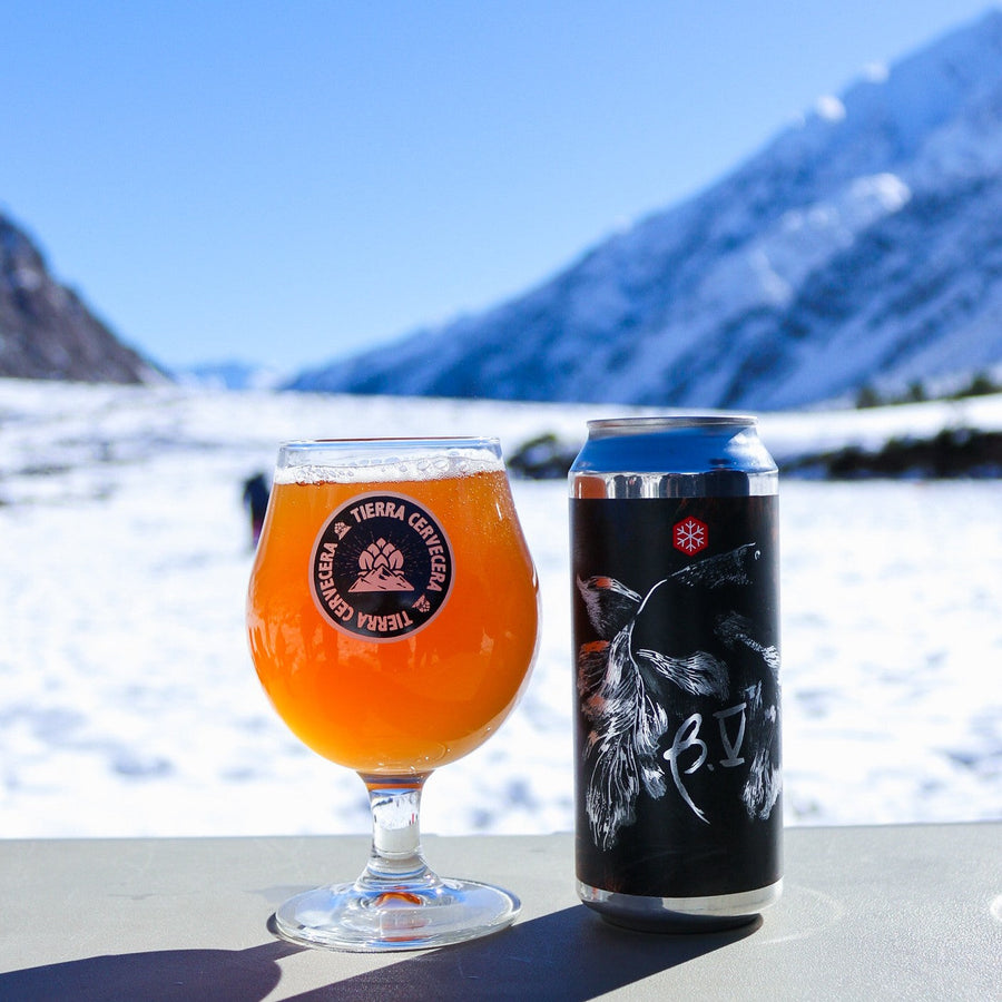 Beta V de Granizo: el eslabón perdido entre cerveza y vino 🍇🍺