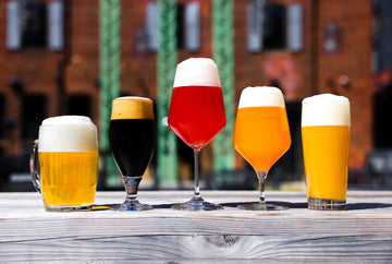 Tipos y Estilos de Cerveza: ¿Qué diferencia hay entre una Ale y una Lager?