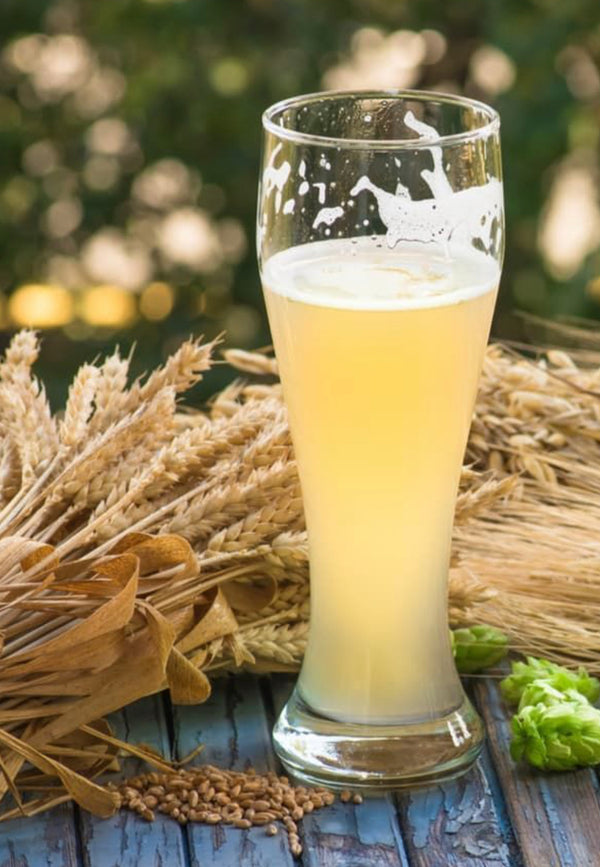 Las cervezas de trigo: ¿Cuáles son sus características y en qué países se producen?