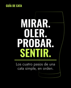 Guía de cata: mirar, oler, probar, sentir