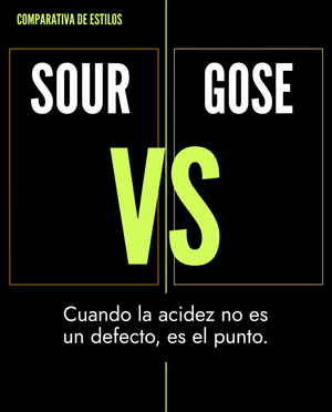 Sour vs Gose: cuando la acidez es el punto, no el defecto