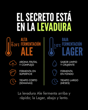 Alta vs baja fermentación