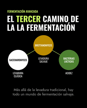 Fermentación mixta y Brett: el tercer camino