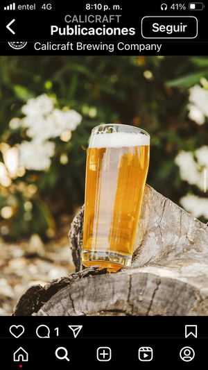 EL REGRESO DESCENSO West Coast IPA