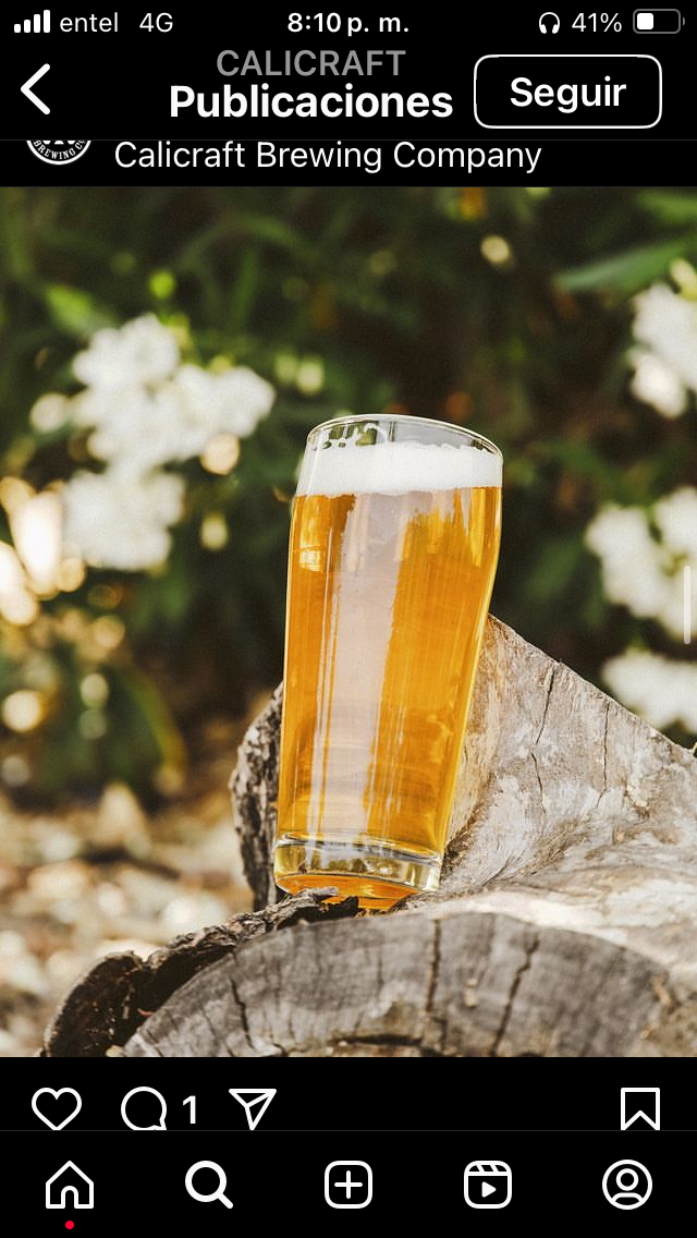 DESCENSO (West Coast IPA)