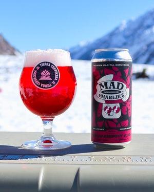 CRANBERRY ALE (Sour Ale Cranberry)