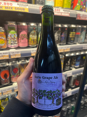 BODEGA INTRINSICAL SERIE GRAPE ALE STOUT PETIT VERDOT Stout Grape Ale