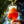 MAUCO RARA Scottish Ale