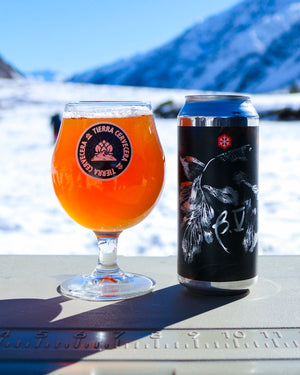 BETTA CINCO (Sour Sauvignon Blanc)