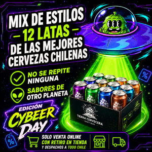 Pack Cervezas Cyber Day 12x Mix