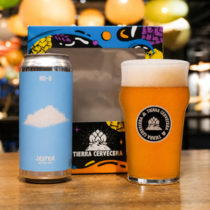 Estuche Regalo + Vaso Nonic + Cerveza IPA