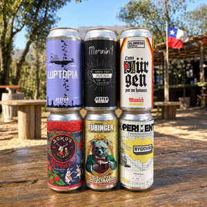 Six Pack Cerveza 6x DEGUSTACIÓN