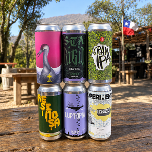 Six Pack Cerveza 6x I LOVE IPAS