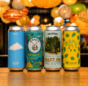Pack Cerveza 4x Hazy IPA