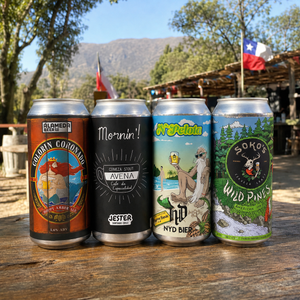 Pack Cerveza 4x Favoritas