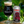 MAUCO CURURO Russian Imperial Stout