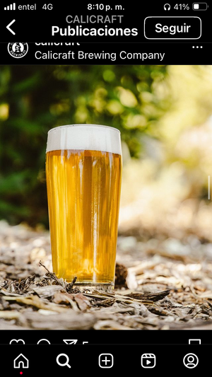 EL REGRESO DESCENSO West Coast IPA