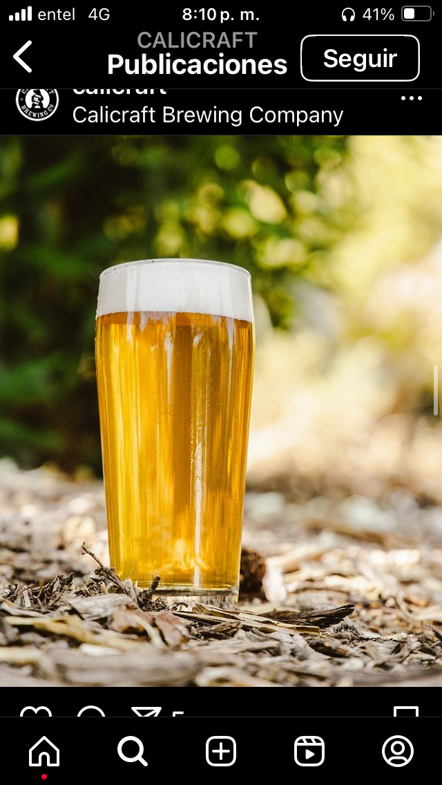 DESCENSO (West Coast IPA)