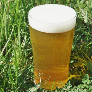 SOKOS WILD PINES American IPA