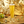 ALAMEDA BEER CO ENTRE PITOS Y FLAUTAS Hoppy Lager