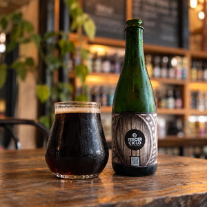 TERCER CICLO CAOTICA Oud Bruin