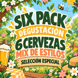 Six Pack Cerveza Degustacion 6x Mix Sorpresa