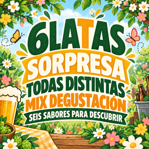 Six Pack Cerveza Degustacion 6x Mix Sorpresa
