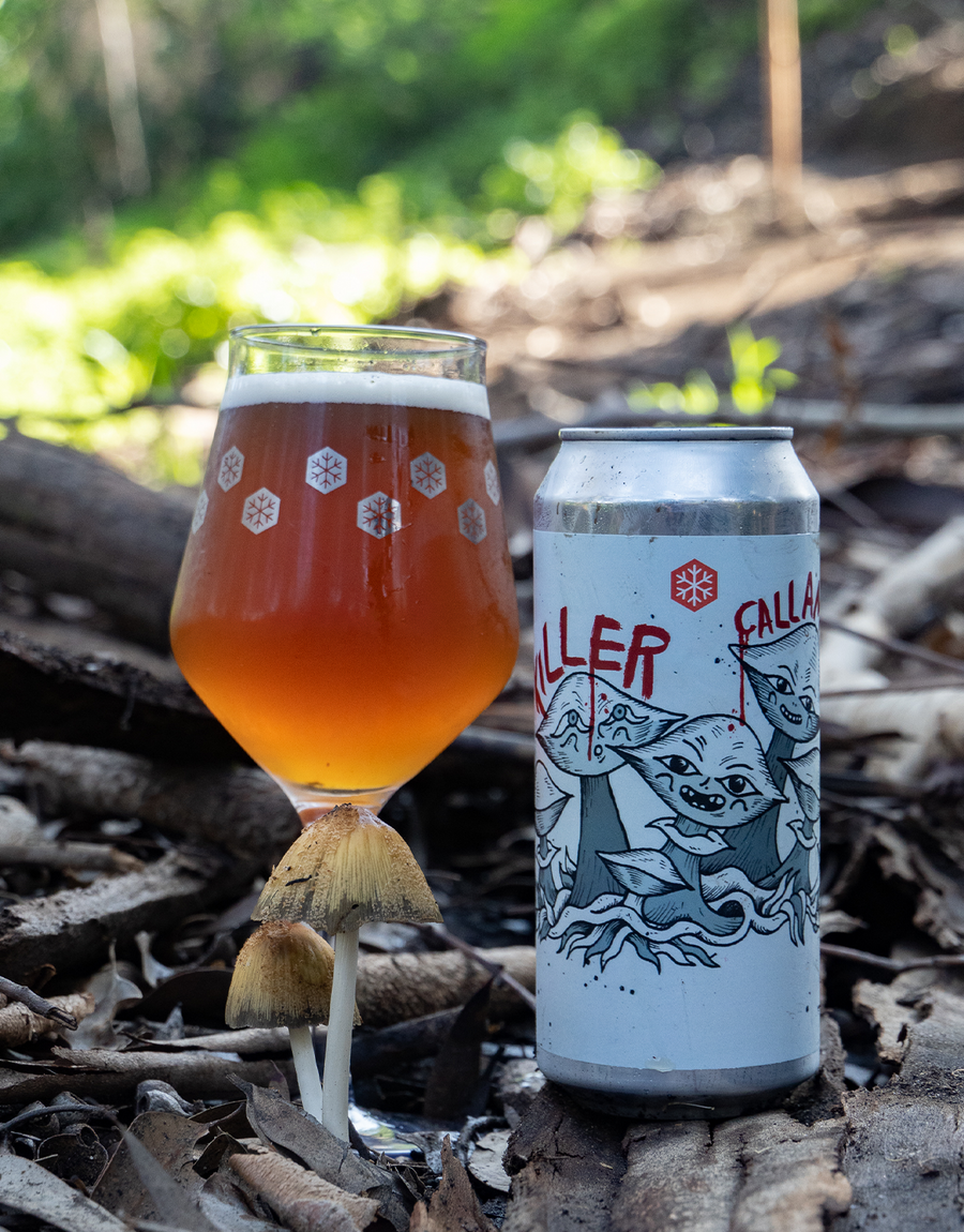 KILLER CALLAMPA (Wild Ale)