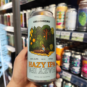 HAZY IPA (Hazy IPA)