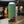 VIRALATA KLK Robust Porter
