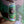SOKOS WILD PINES American IPA